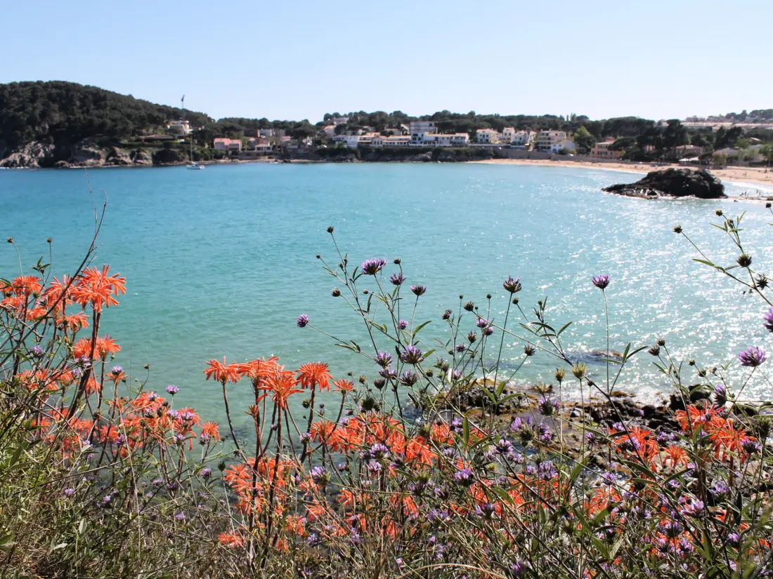 Location de Vacances Palamós 217