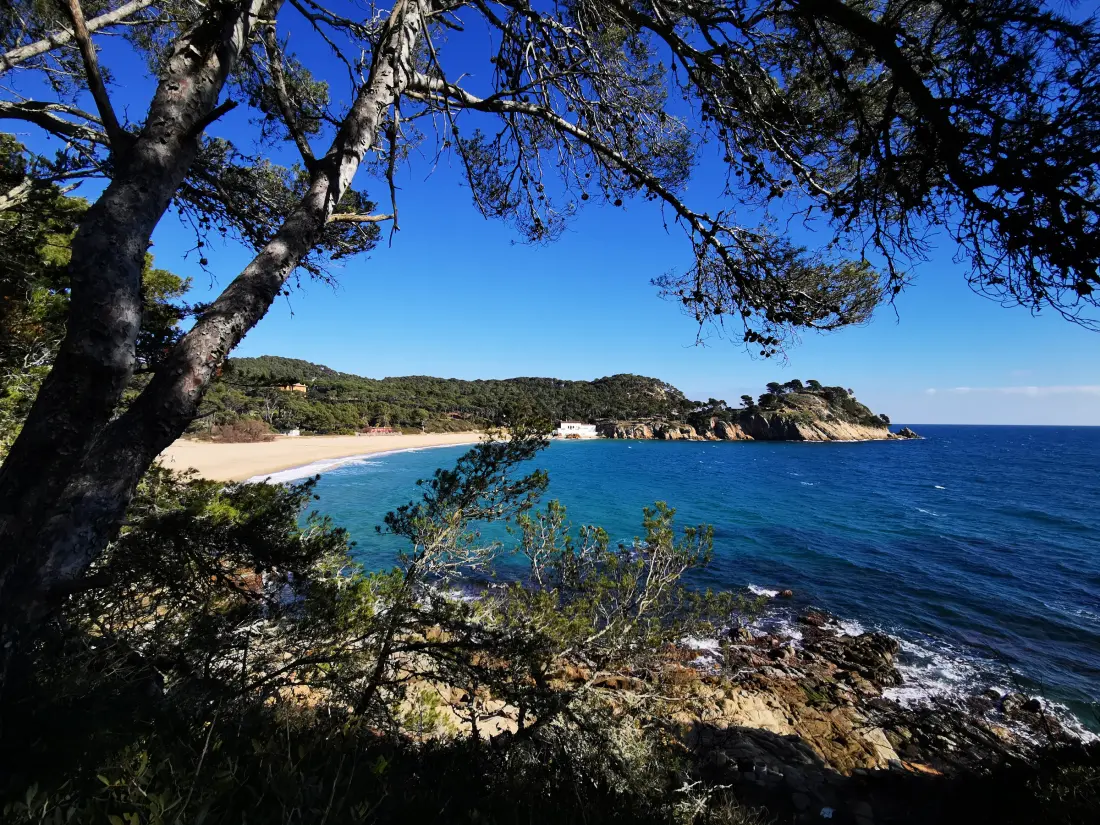 Location de Vacances Palamós 252