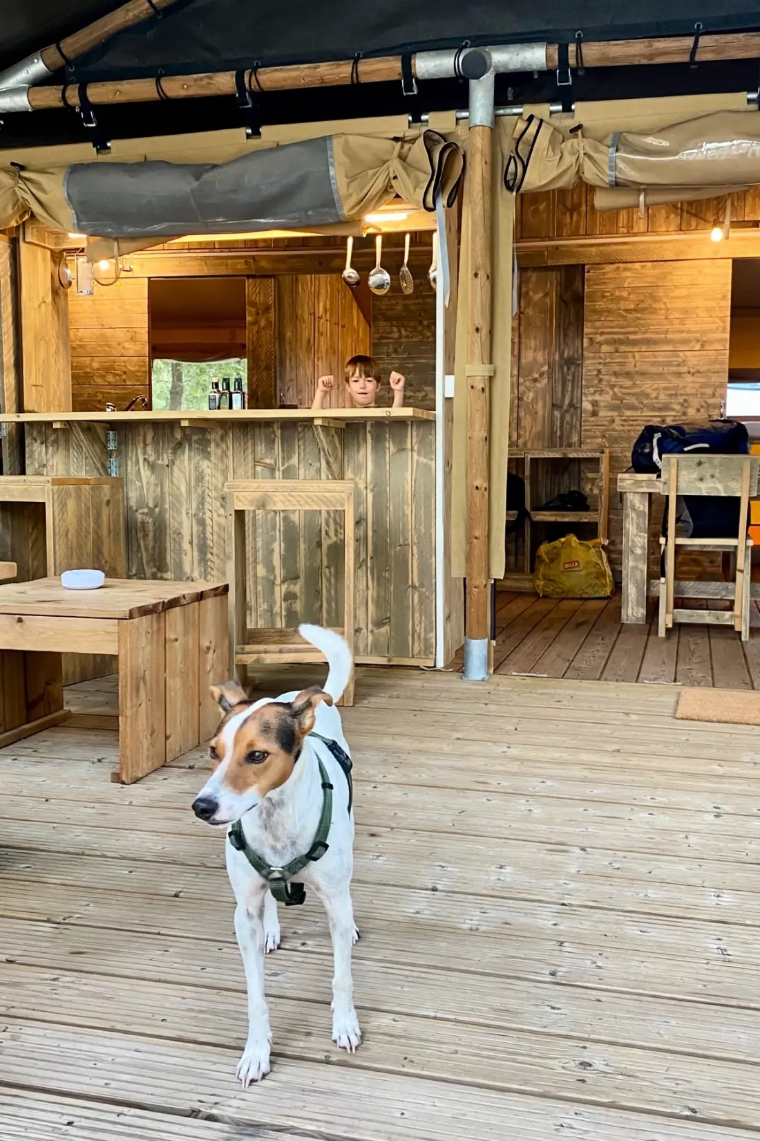 Tenuta Regina Agriturismo e Glamping
