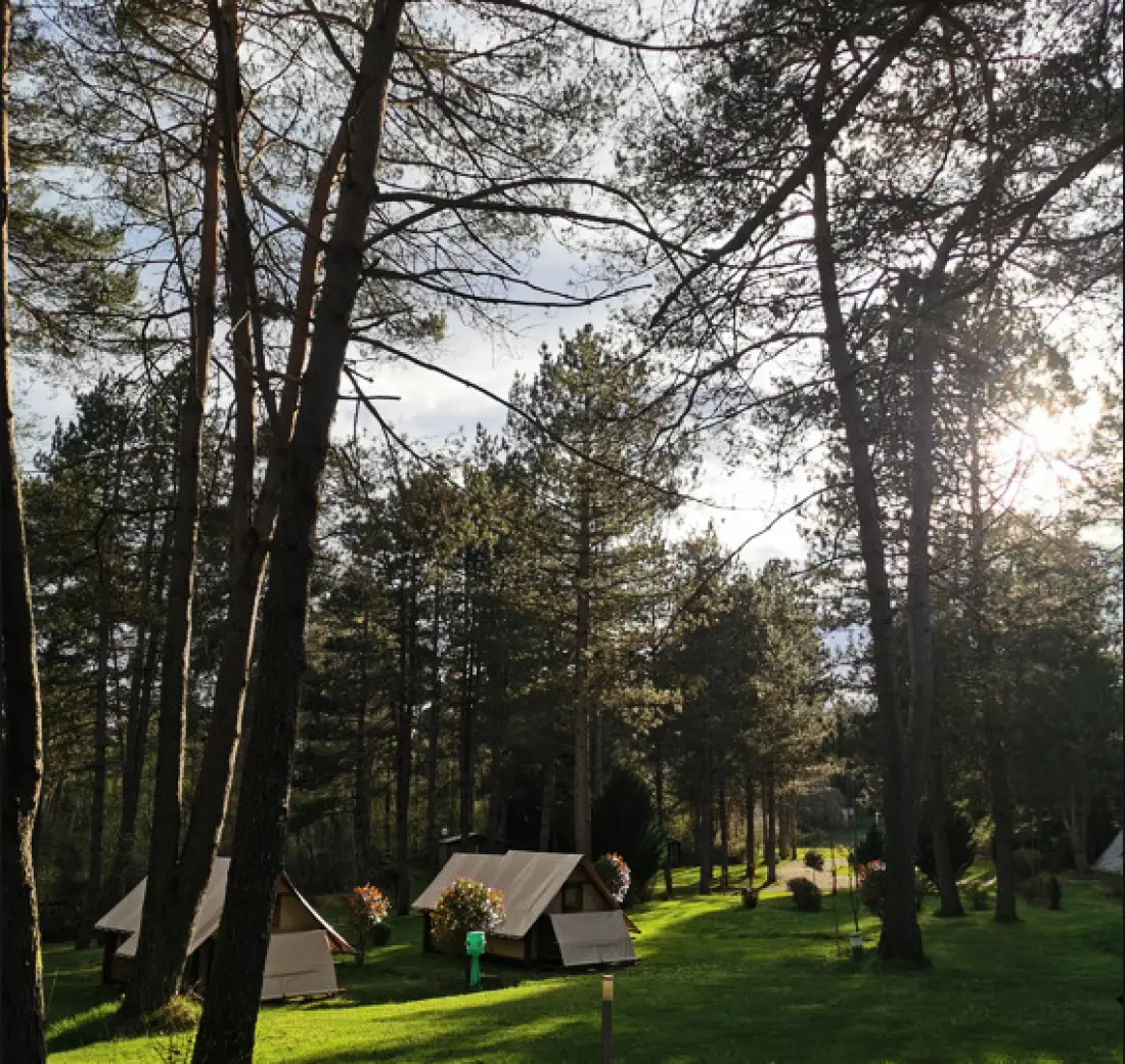 Camping Les Sapins de Correze 3 étoiles★★★