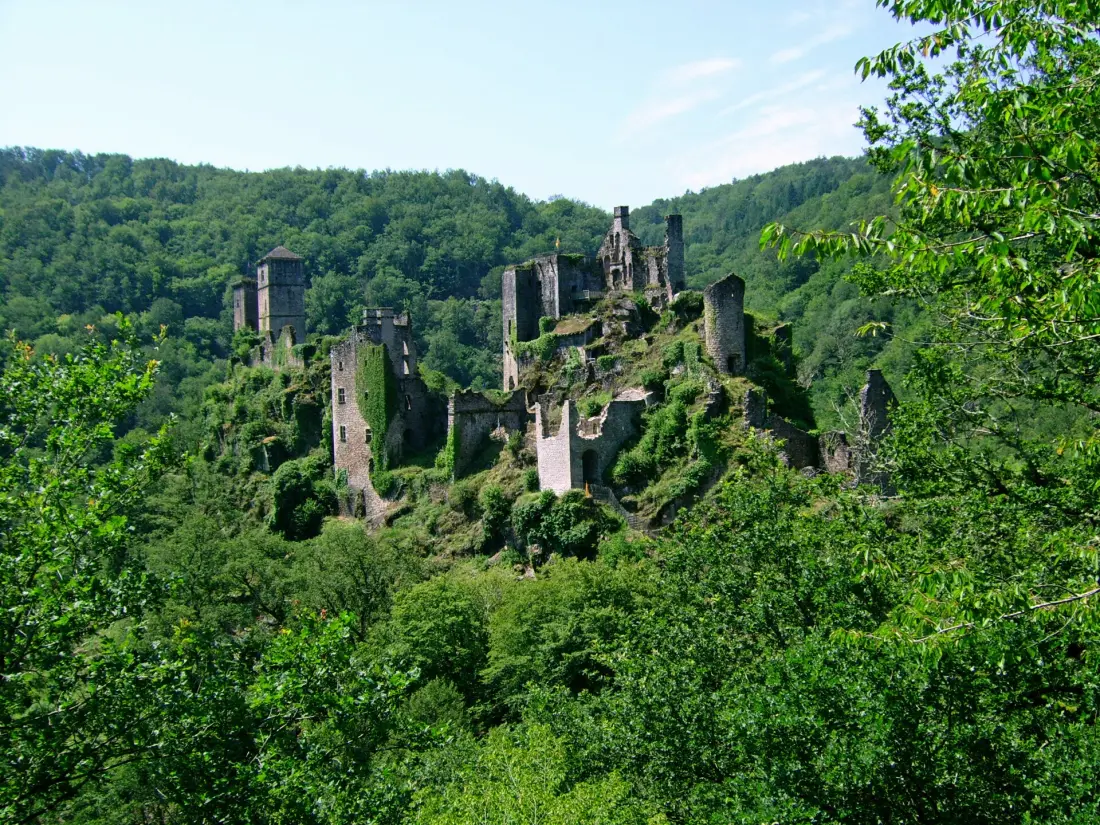 Camping Les Sapins de Correze 3 étoiles★★★