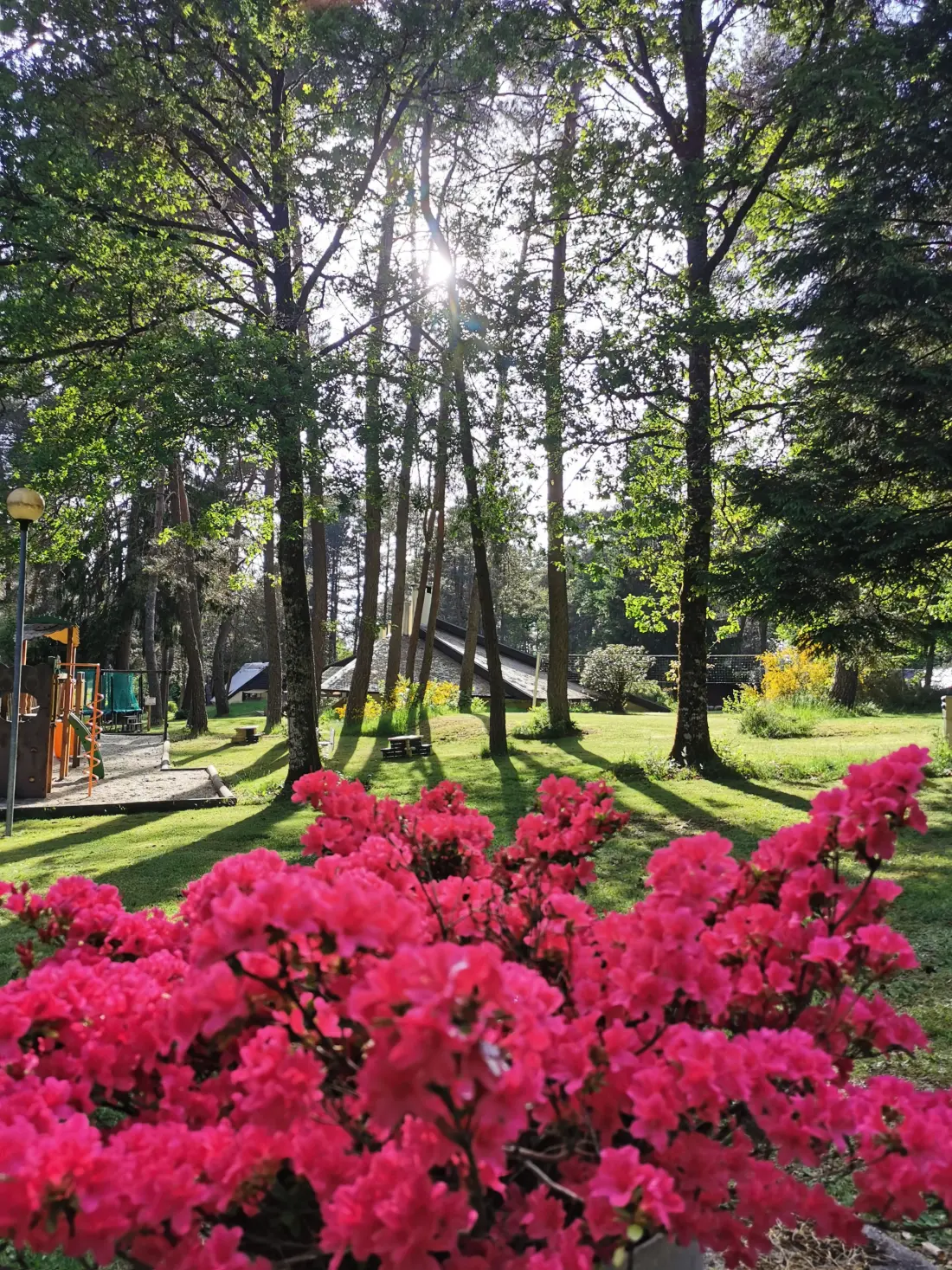 Camping Les Sapins de Correze 3 étoiles★★★
