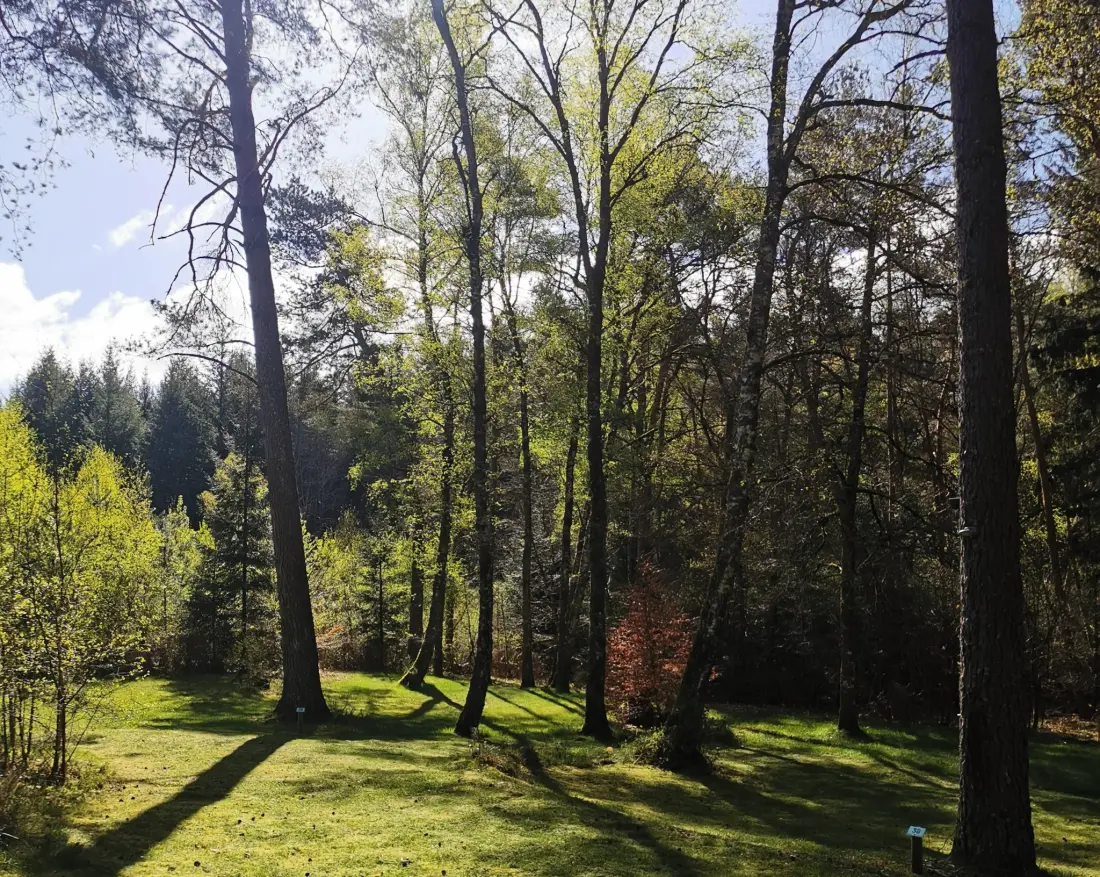 Camping Les Sapins de Correze 3 étoiles★★★