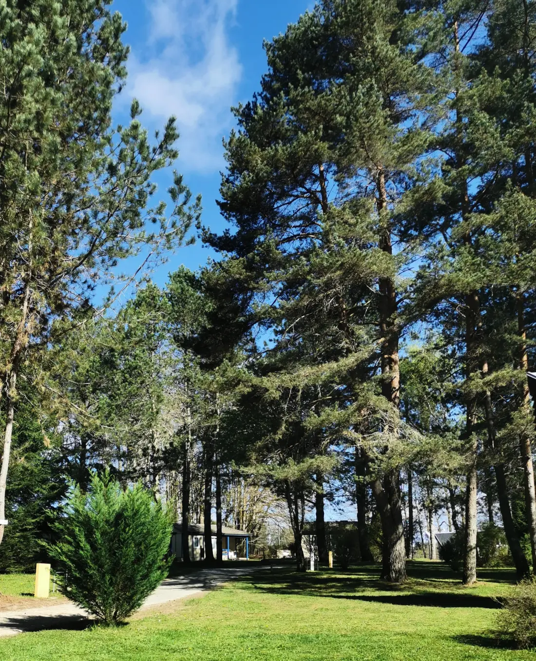 Camping Les Sapins de Correze 3 étoiles★★★