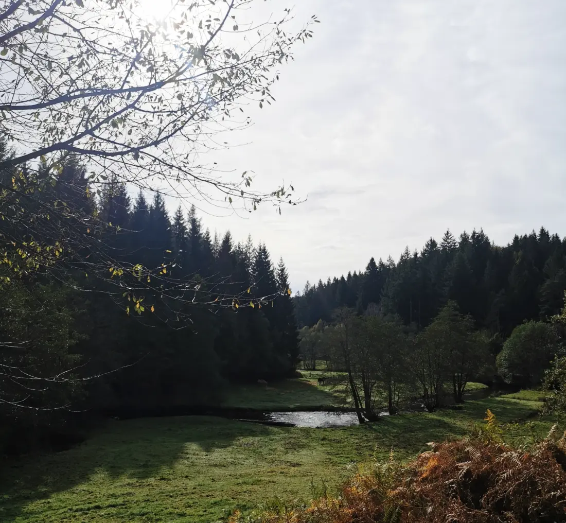 Camping Les Sapins de Correze 3 étoiles★★★