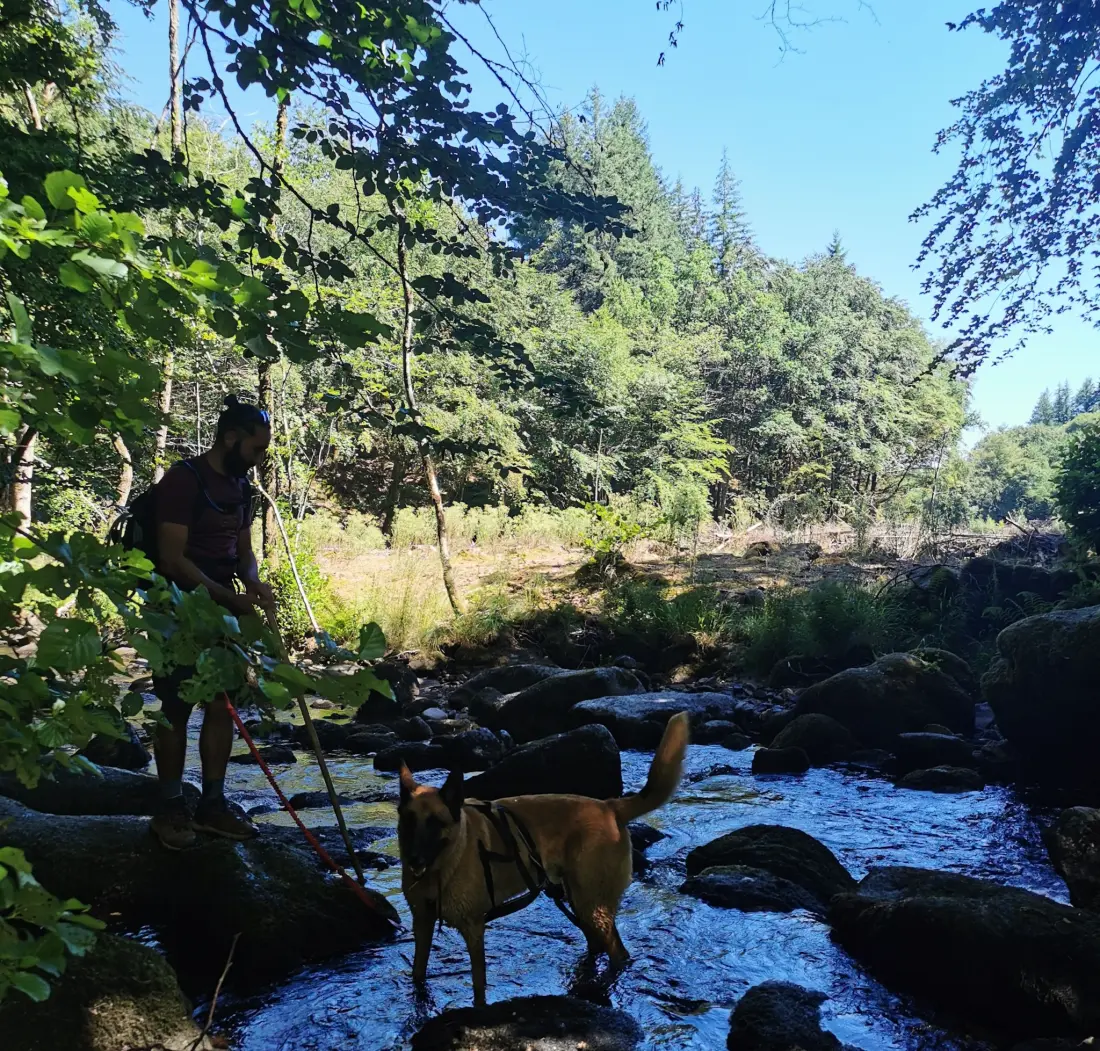 Camping Les Sapins de Correze 3 étoiles★★★