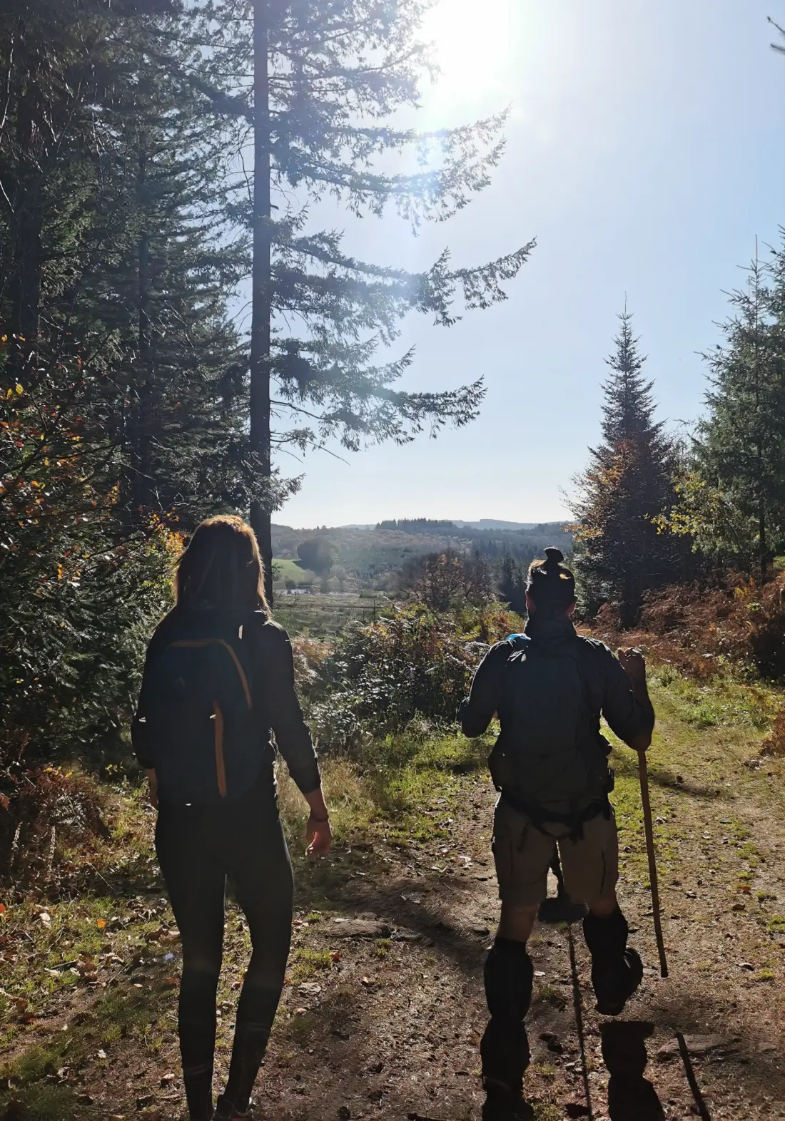 Camping Les Sapins de Correze 3 étoiles★★★
