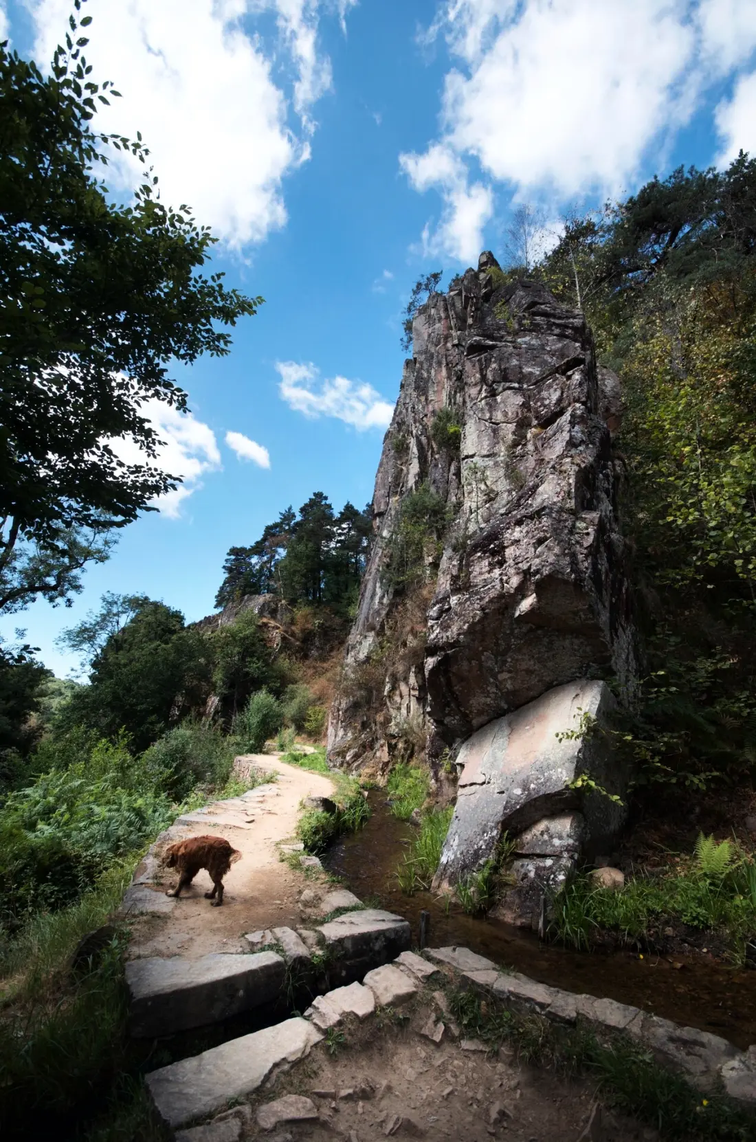 Camping Les Sapins de Correze 3 étoiles★★★