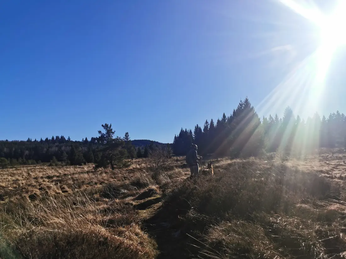 Camping Les Sapins de Correze 3 étoiles★★★