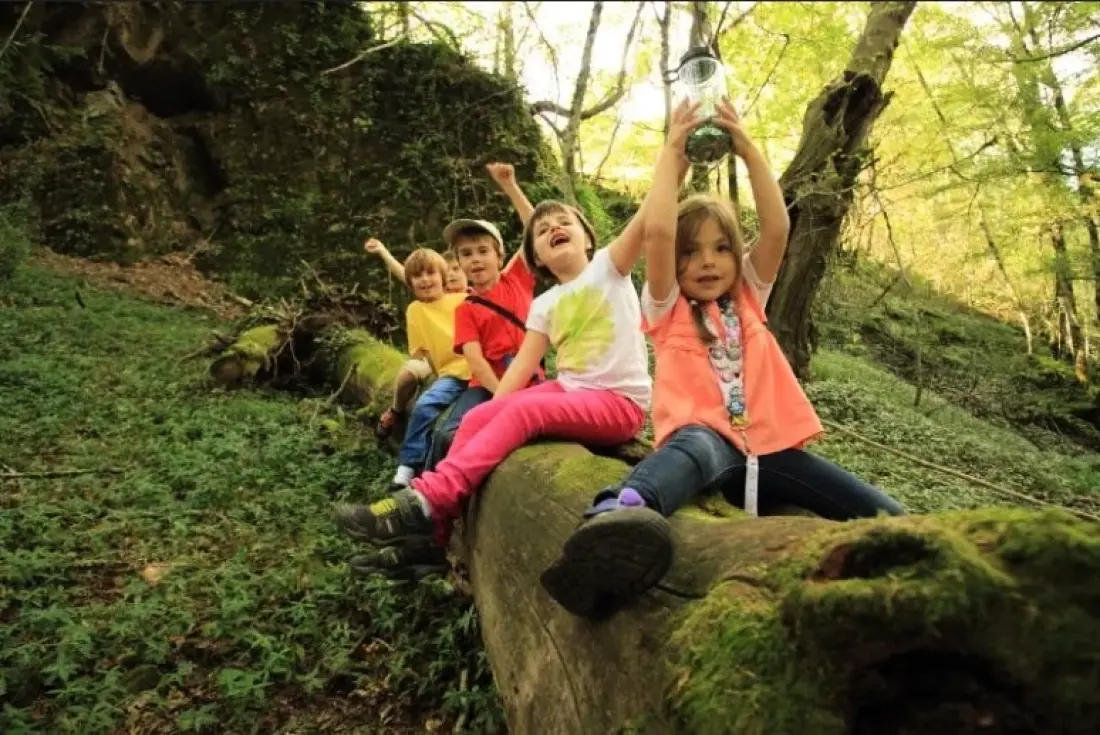 Camping Les Sapins de Correze 3 étoiles★★★