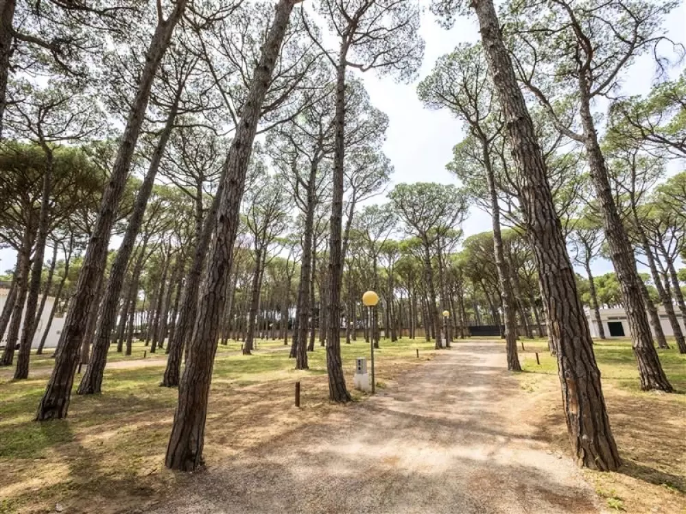 Alannia Neptuno 3 étoiles★★★