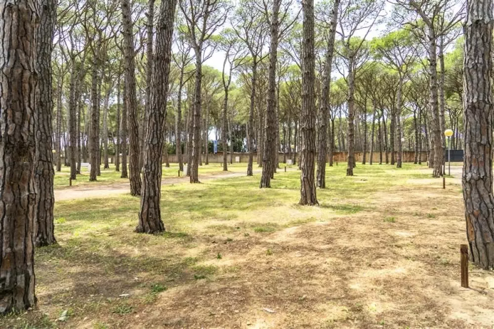 Alannia Neptuno 3 étoiles★★★