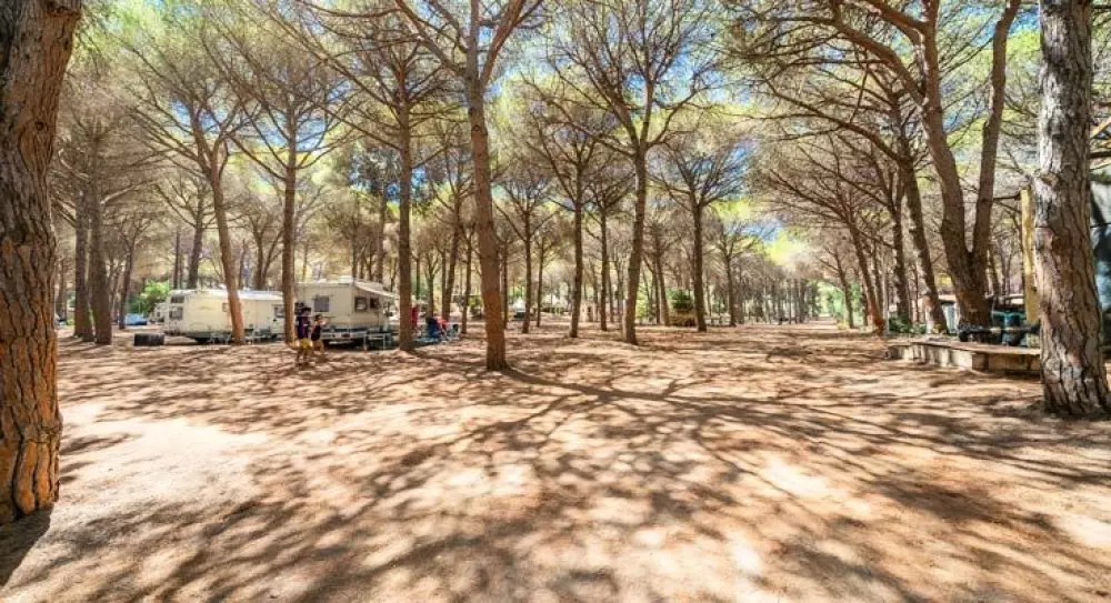 Alannia Neptuno 3 étoiles★★★