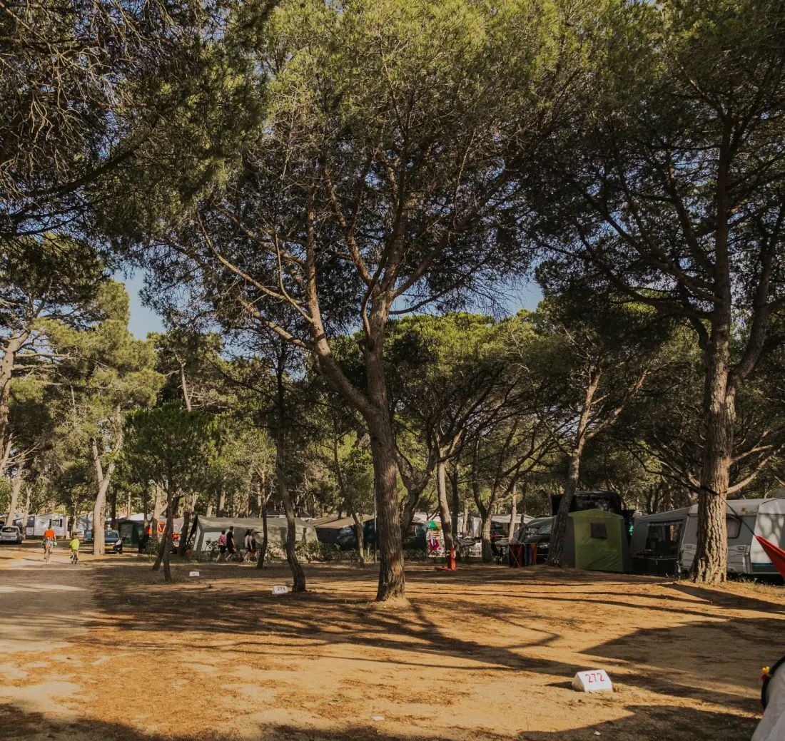 Camping & Bungalows Platja Brava 4 étoiles★★★★