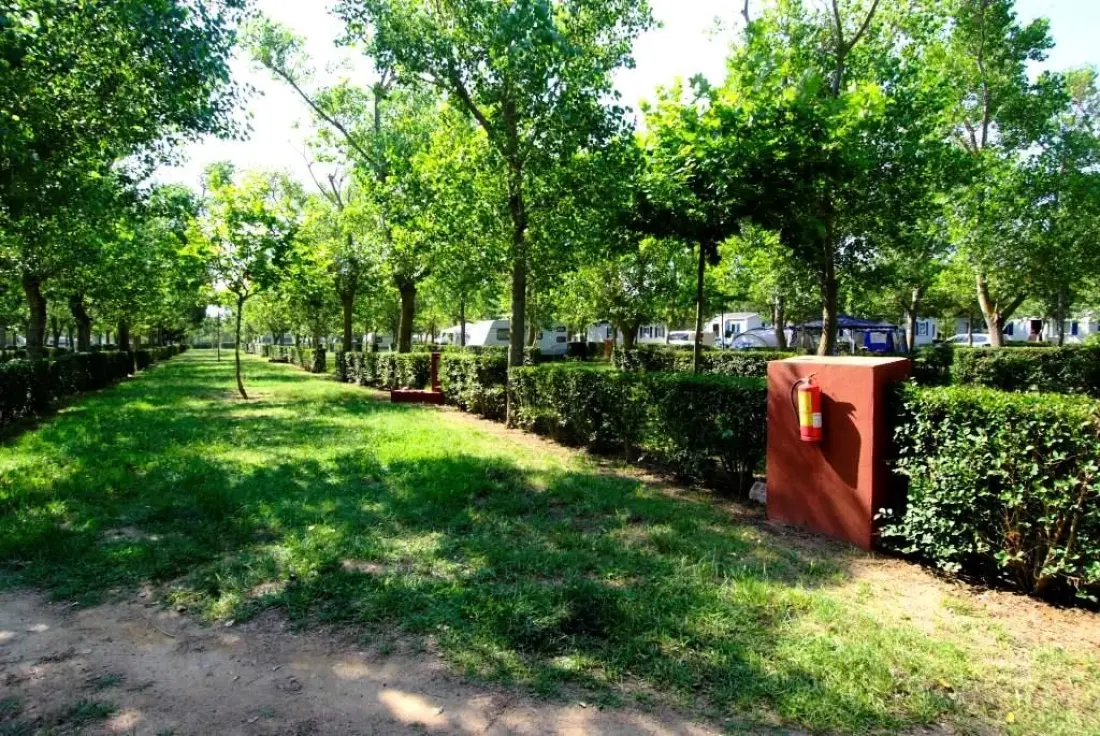 Camping & Bungalows Platja Brava 4 étoiles★★★★