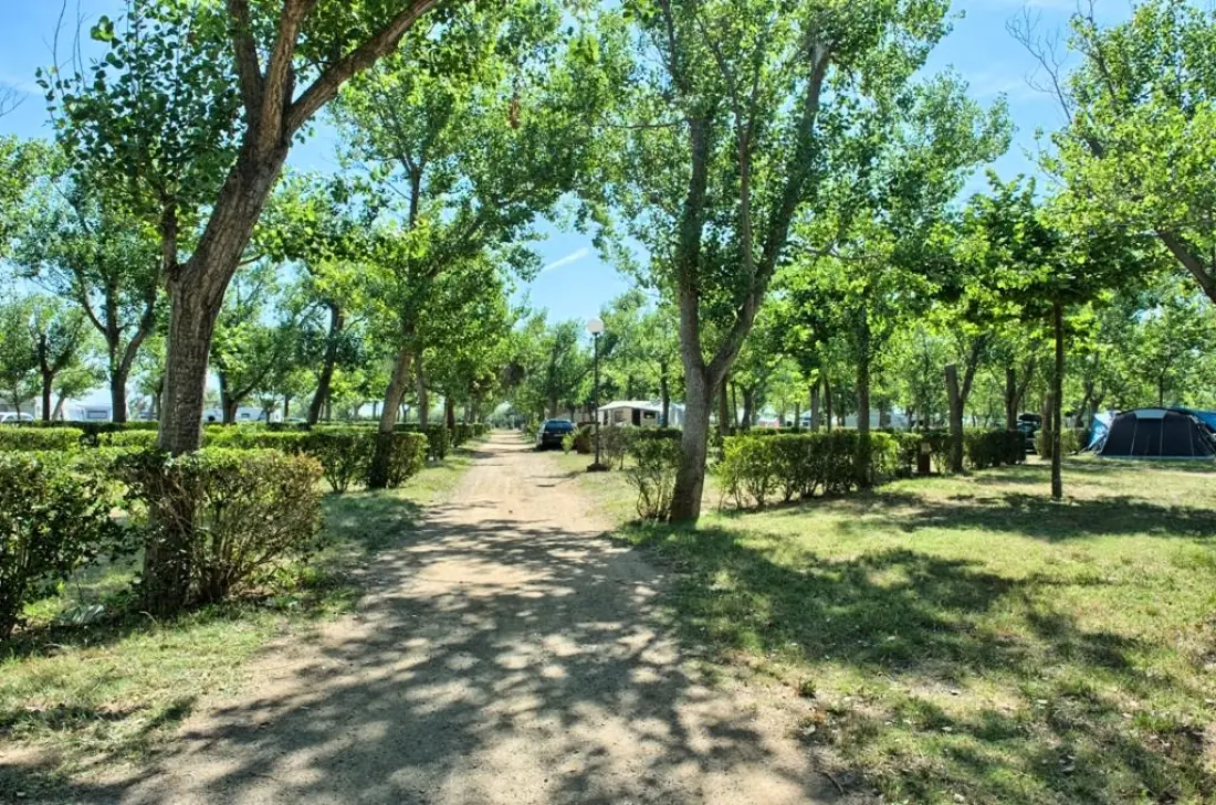 Camping & Bungalows Platja Brava 4 étoiles★★★★