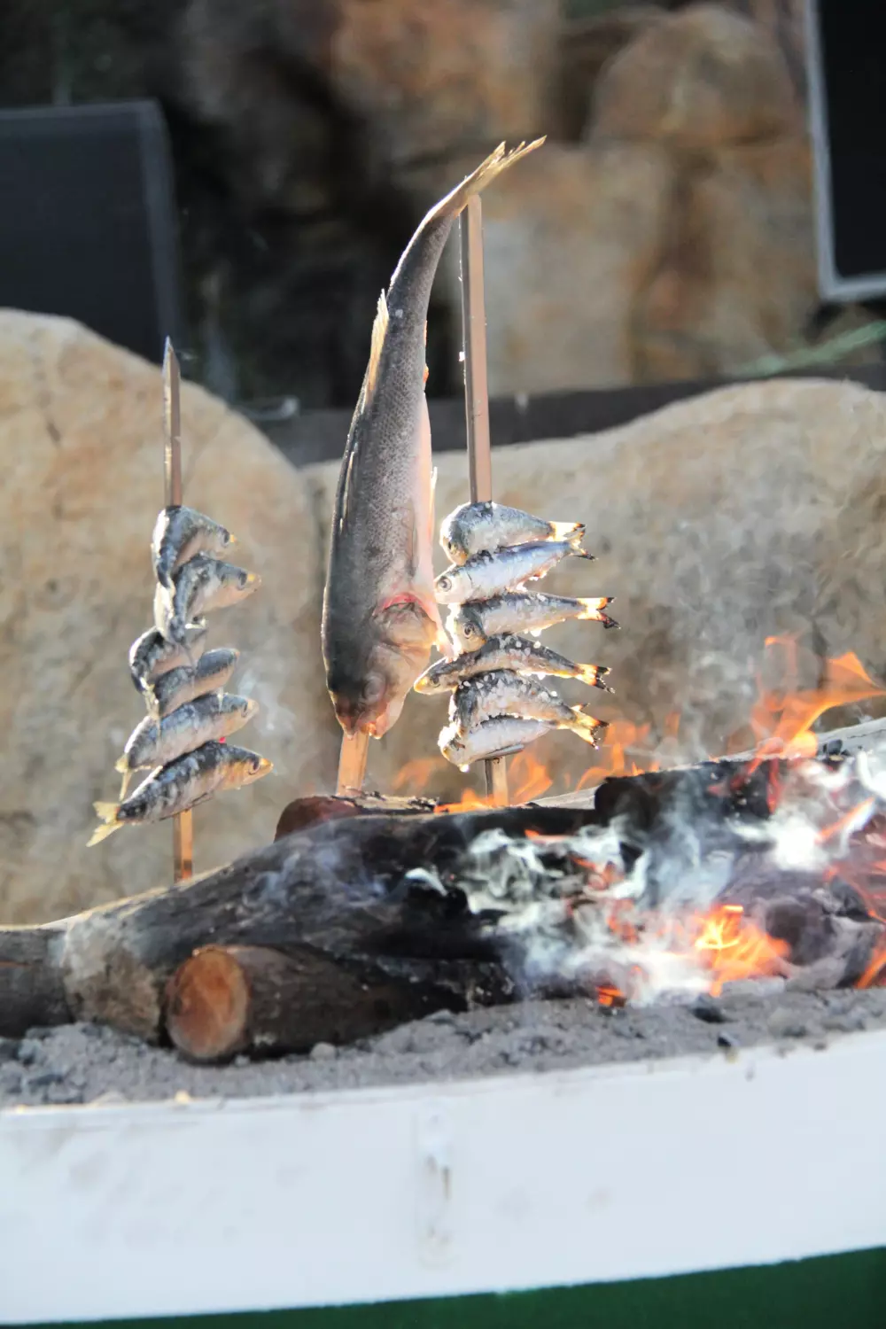 Interpals Eco Resort 4 étoiles★★★★