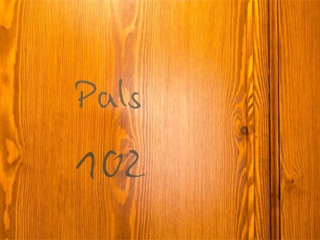Location de Vacances Pals 97