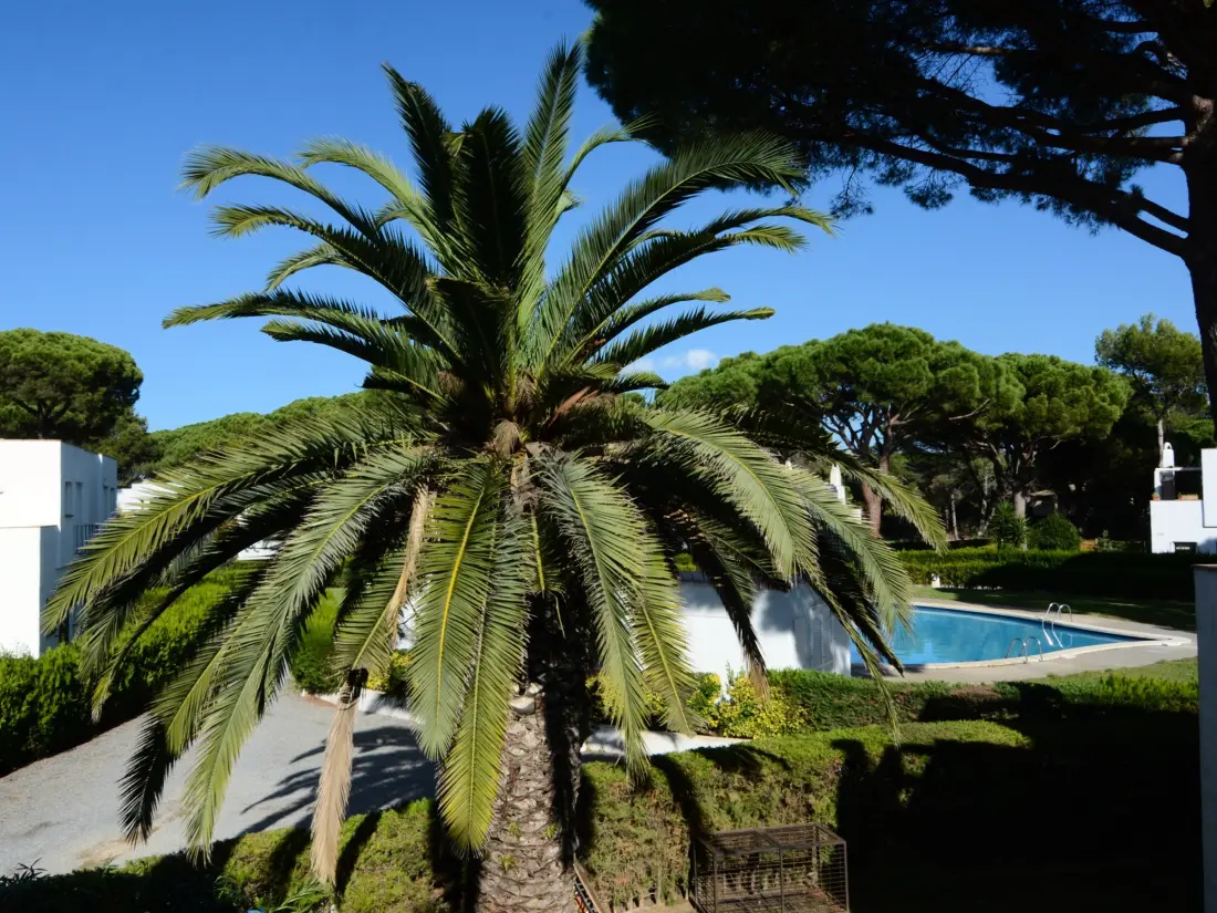 Maison de Vacances Pals 102