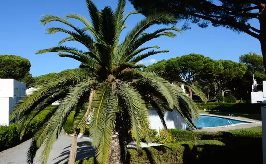 Maison de Vacances Pals 102