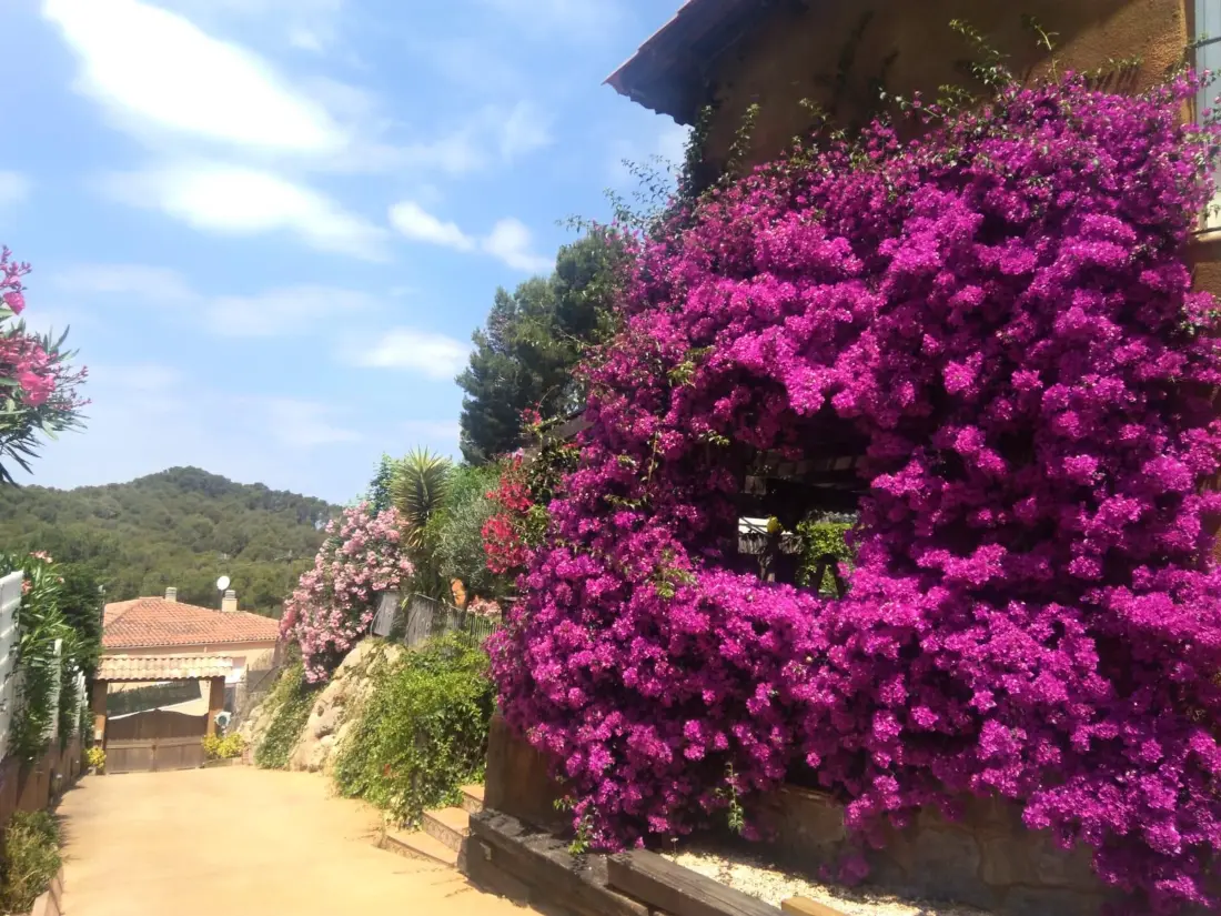 Maison de Vacances Pals 11