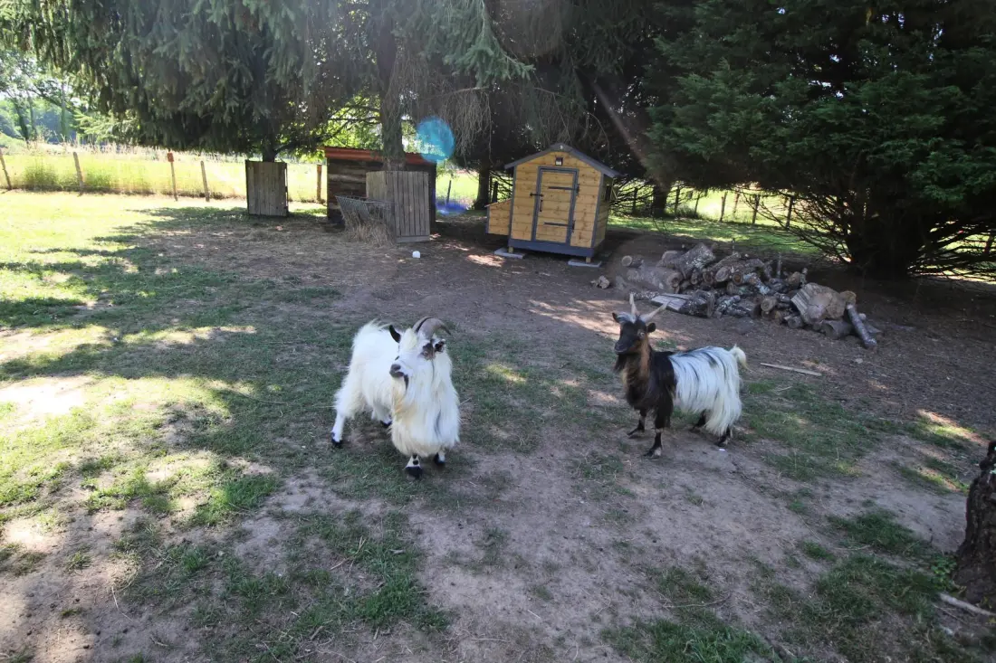 Gîte de France Le mas chambart 3 épis