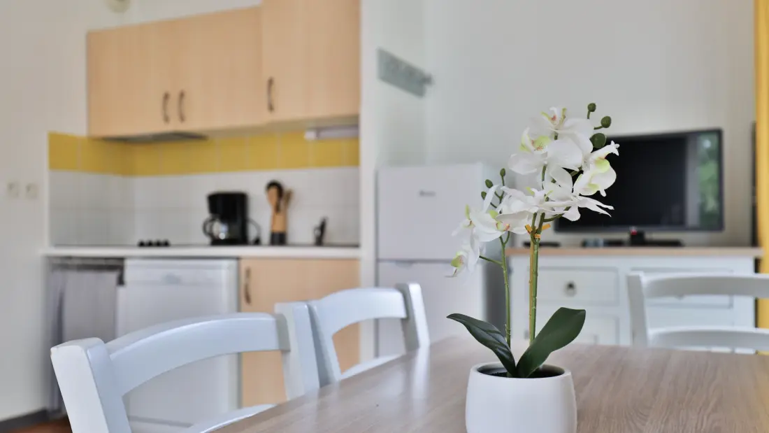 Appartements à Parentis-en-Born