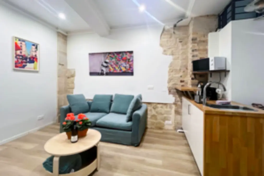 Souplex Atypique Au Cœur De Montorgueil