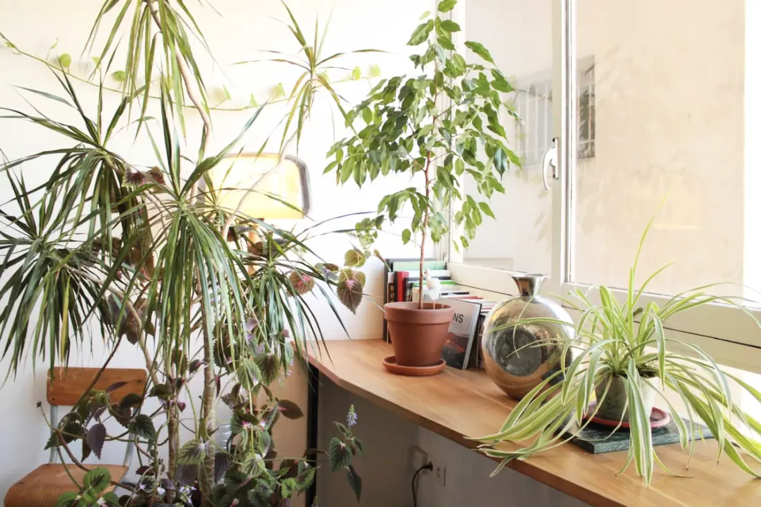 Appartement Avec Vue Imprenable à Paris