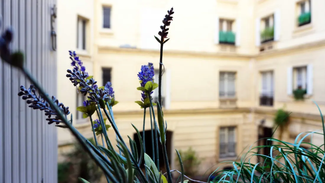 Appartements à Paris