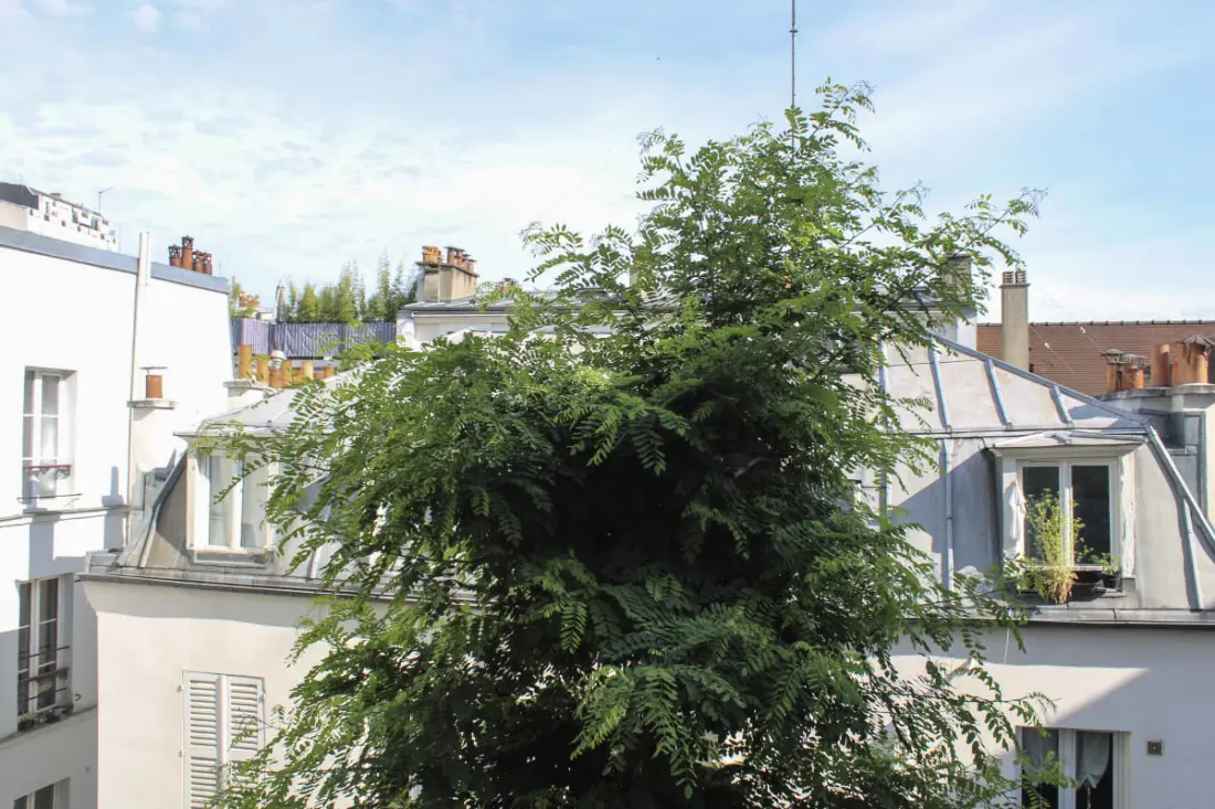 Charmant Studio Avec Balcon -  Sacré-cœur