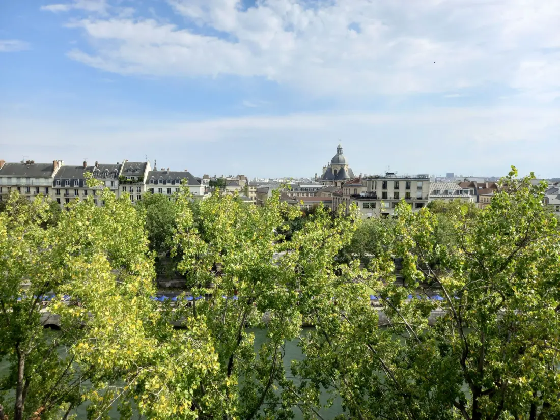 Résidence Schöner romantischer Blick auf die Seine