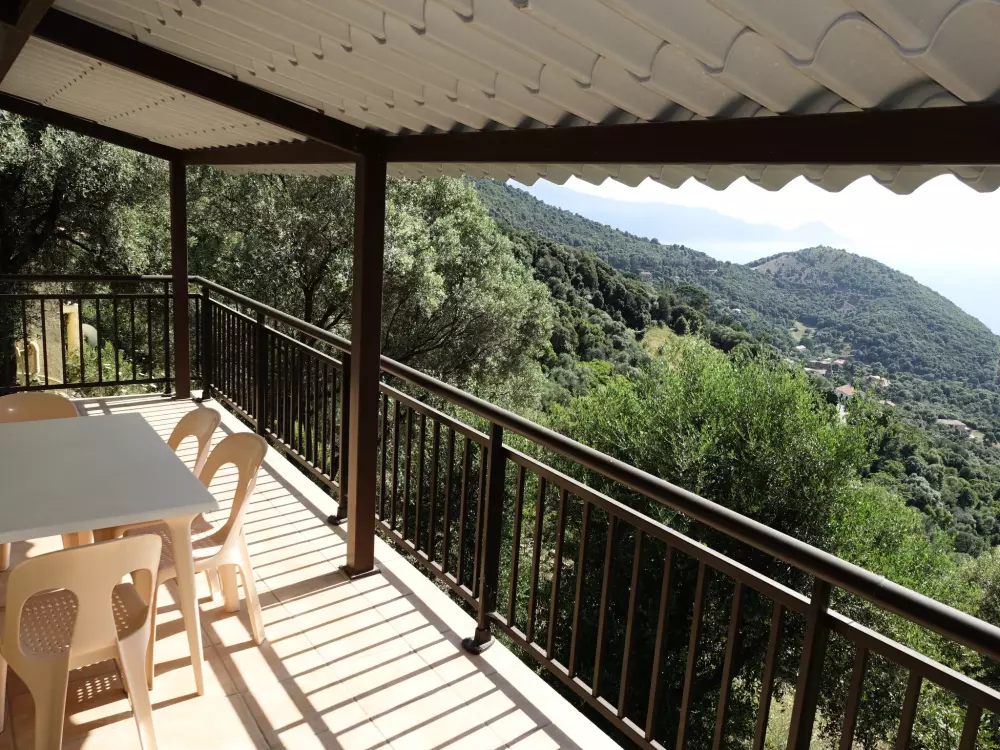 Résidence Camelia- Marjolène