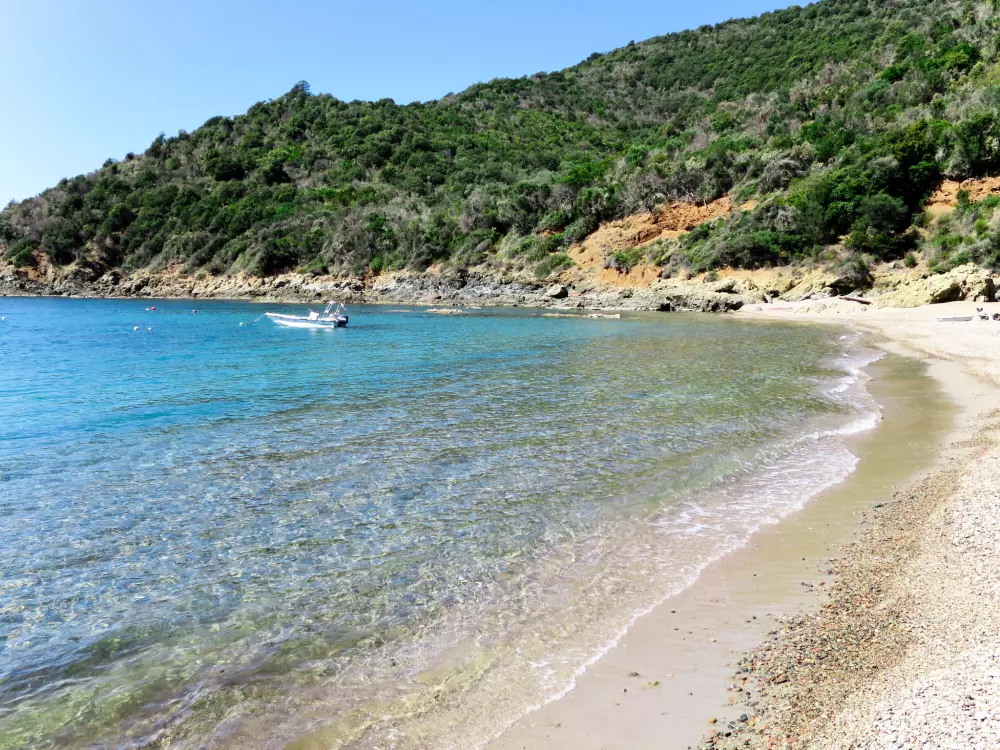 Résidence Camelia- Marjolène