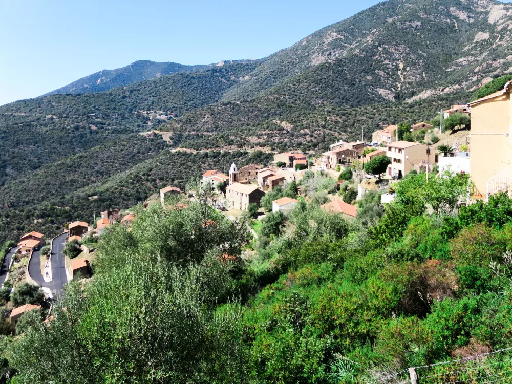 Résidence Camelia- Marjolène