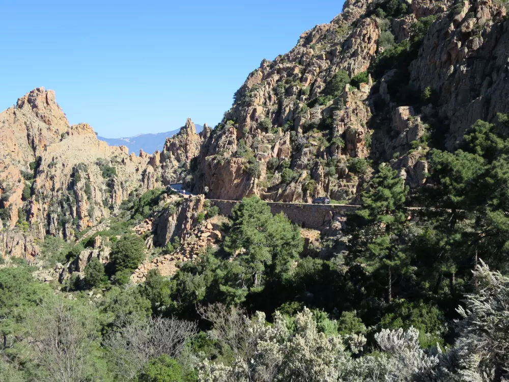 Résidence Camelia- Marjolène