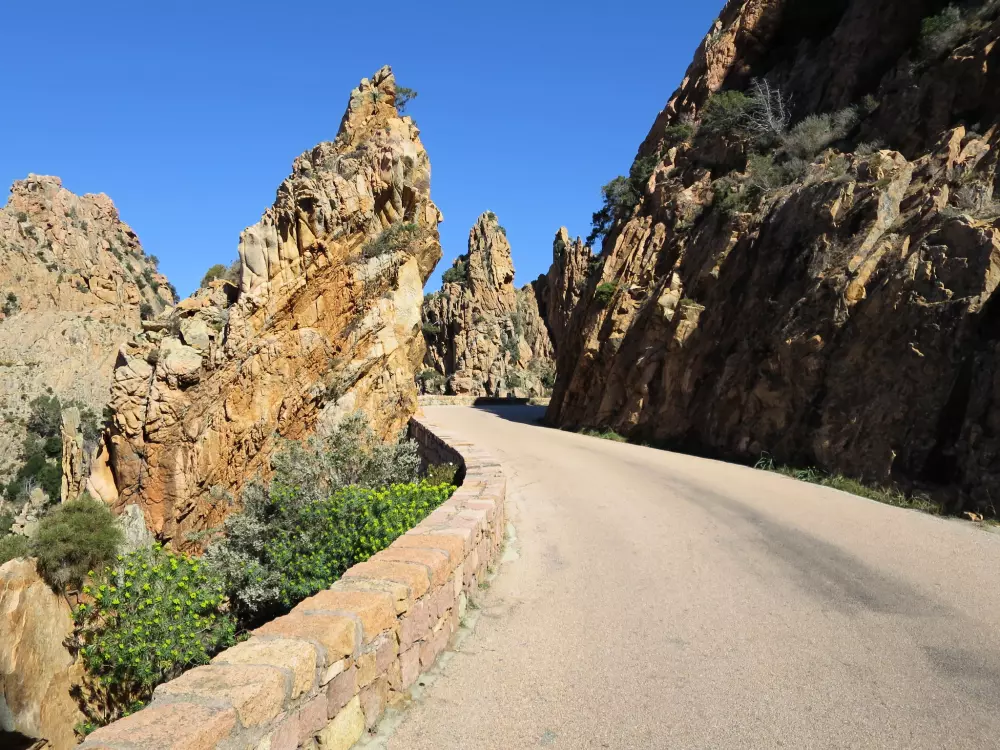 Résidence Camelia- Marjolène