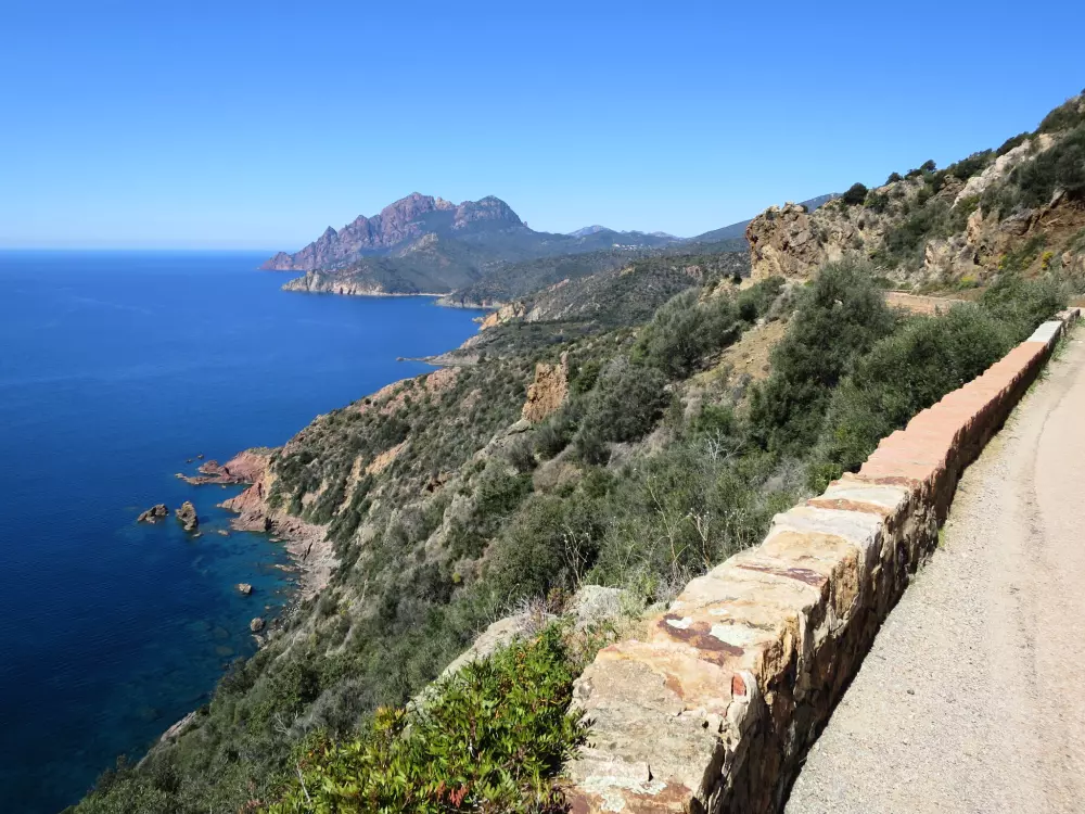 Résidence Camelia- Marjolène