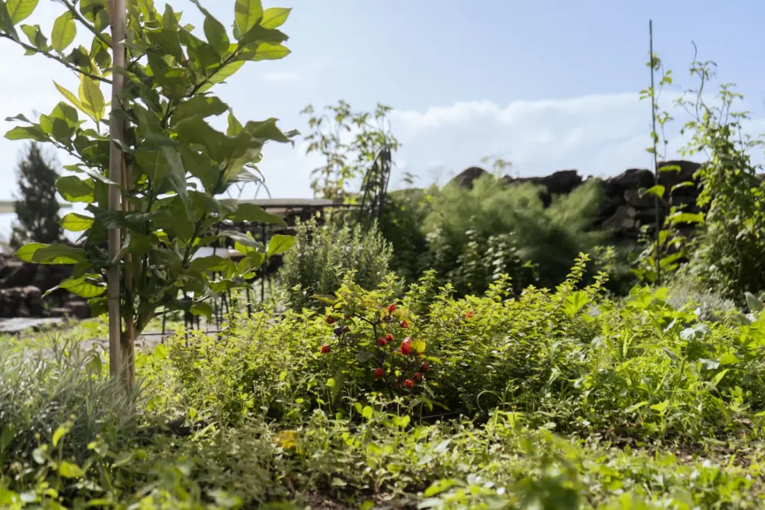 Résidence Quinta Marefe - Sur La Magnifique Côte Ouest