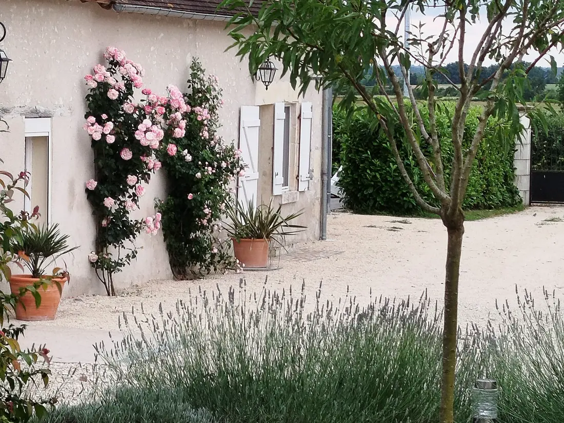 Maison de Vacances Paulnay 3