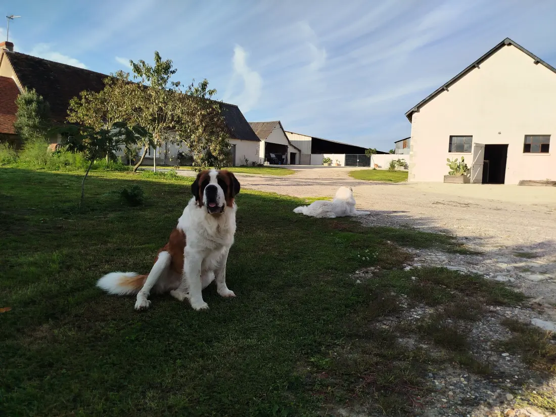 Maison de Vacances Paulnay 3