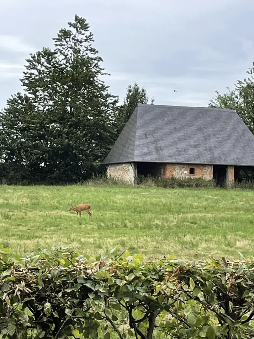 Gîte de France Gîtes de france® - le jardin de rose 3 épis