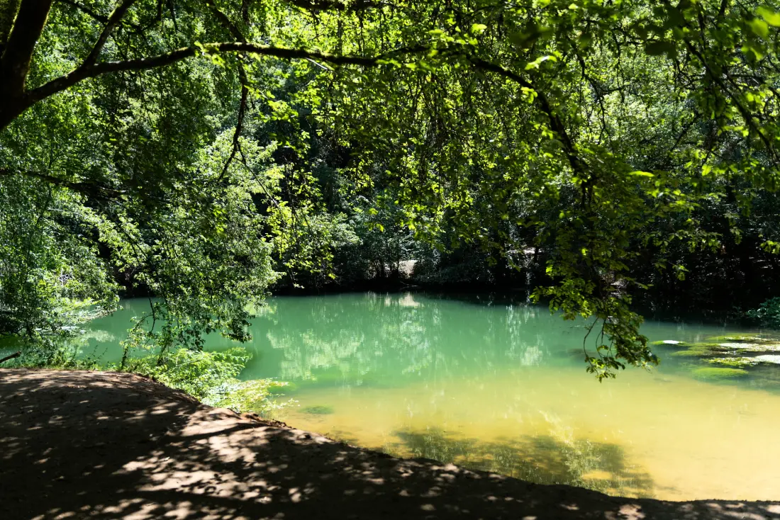 Camping Sunêlia Le Séquoia 4 étoiles★★★★