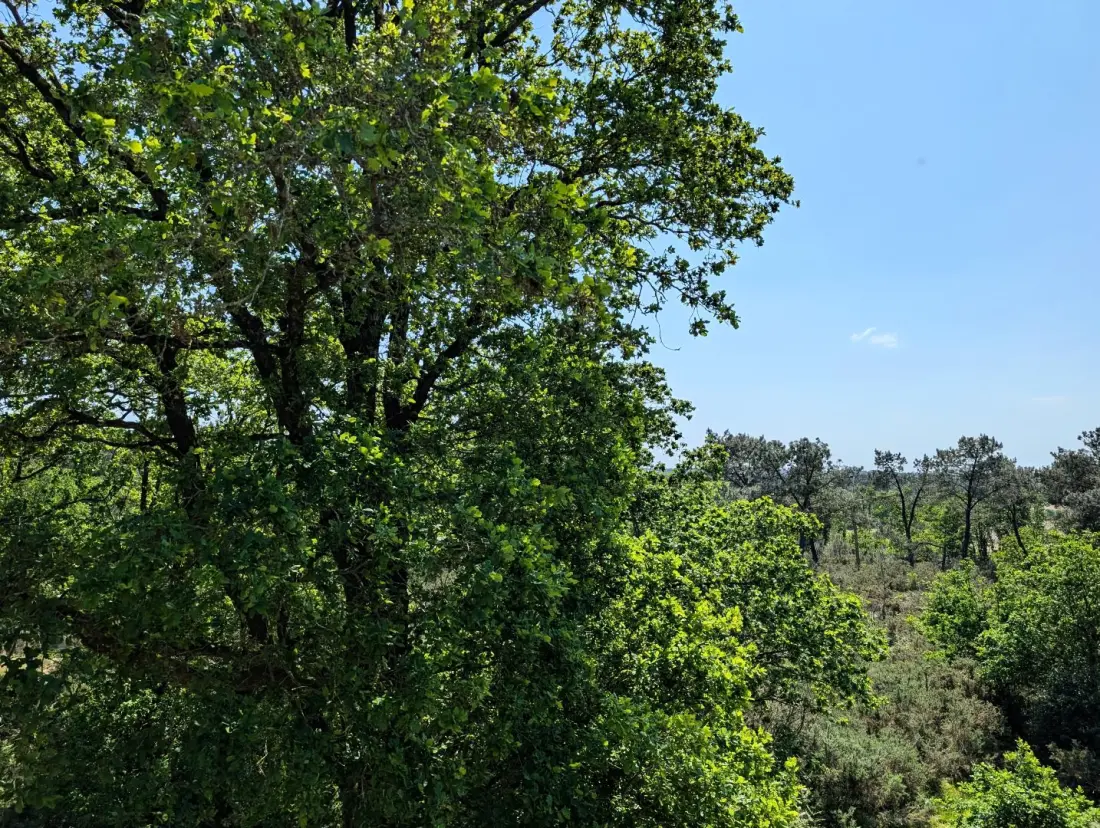 Gîte de France La grée du moulin 2 épis