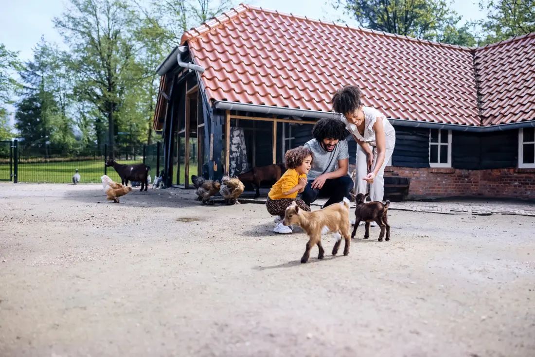 Domaine Erperheide Center Parcs