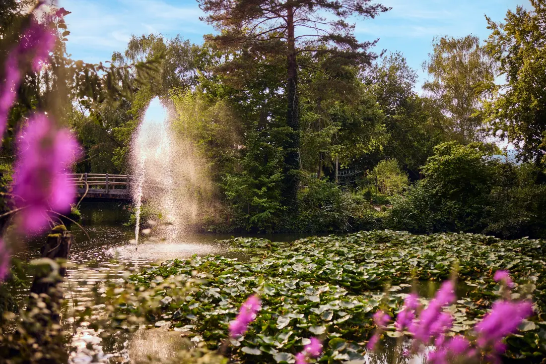 Domaine Erperheide Center Parcs