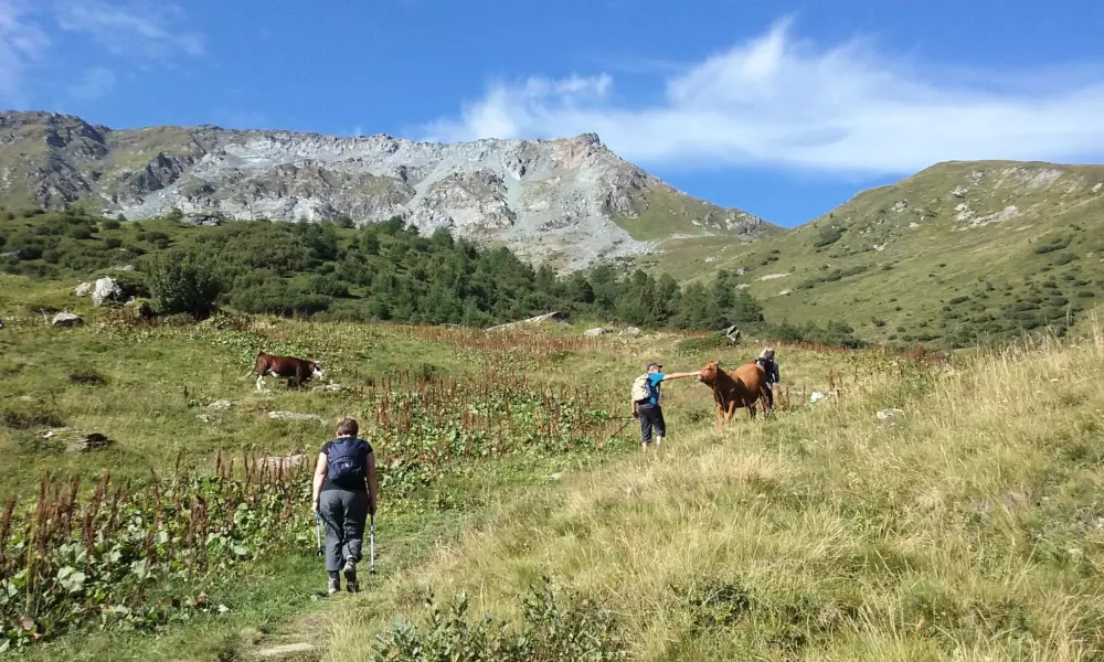 Camping Les Lanchettes 3 étoiles★★★
