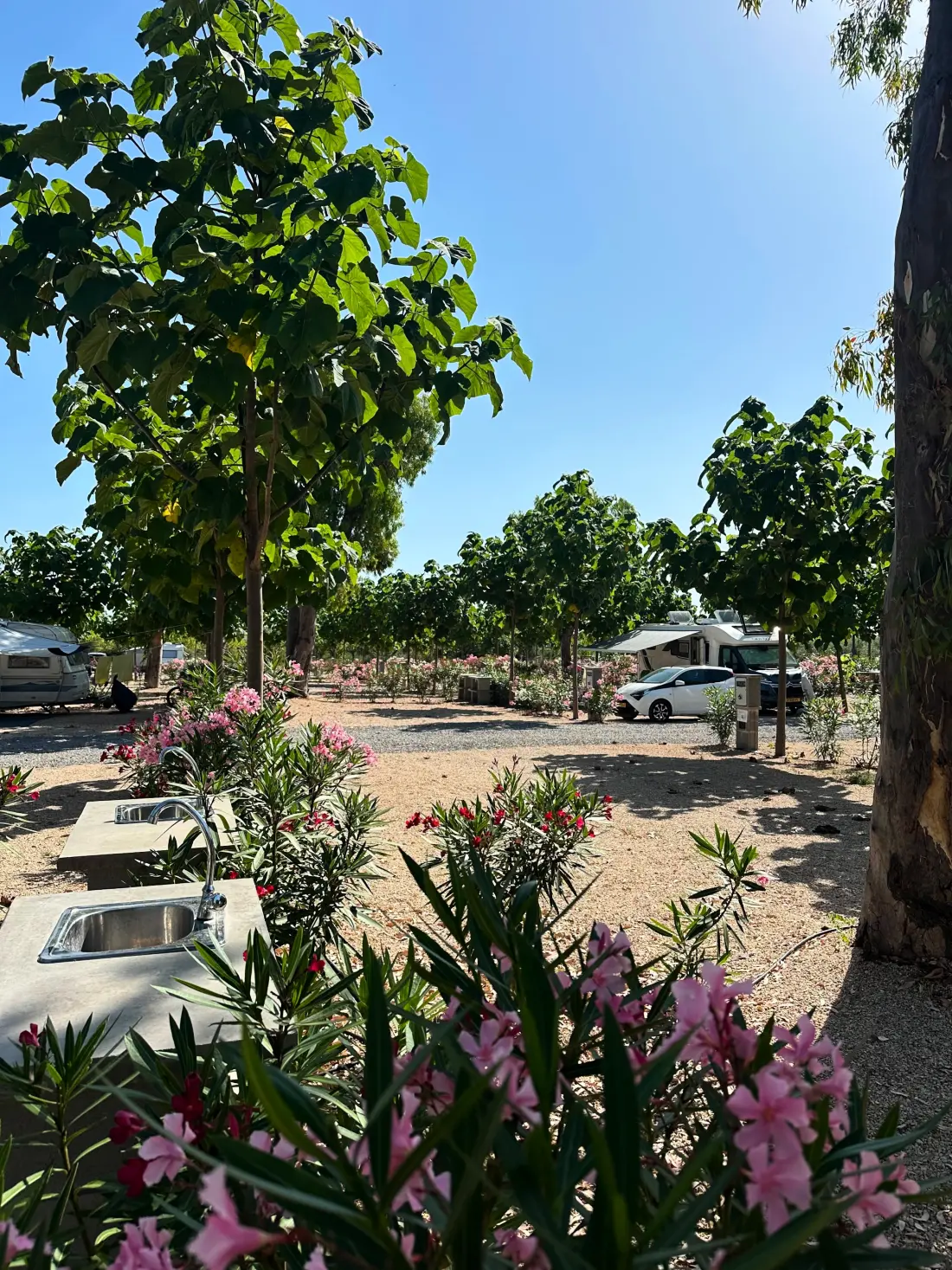 Camping Peñíscola  3 étoiles★★★