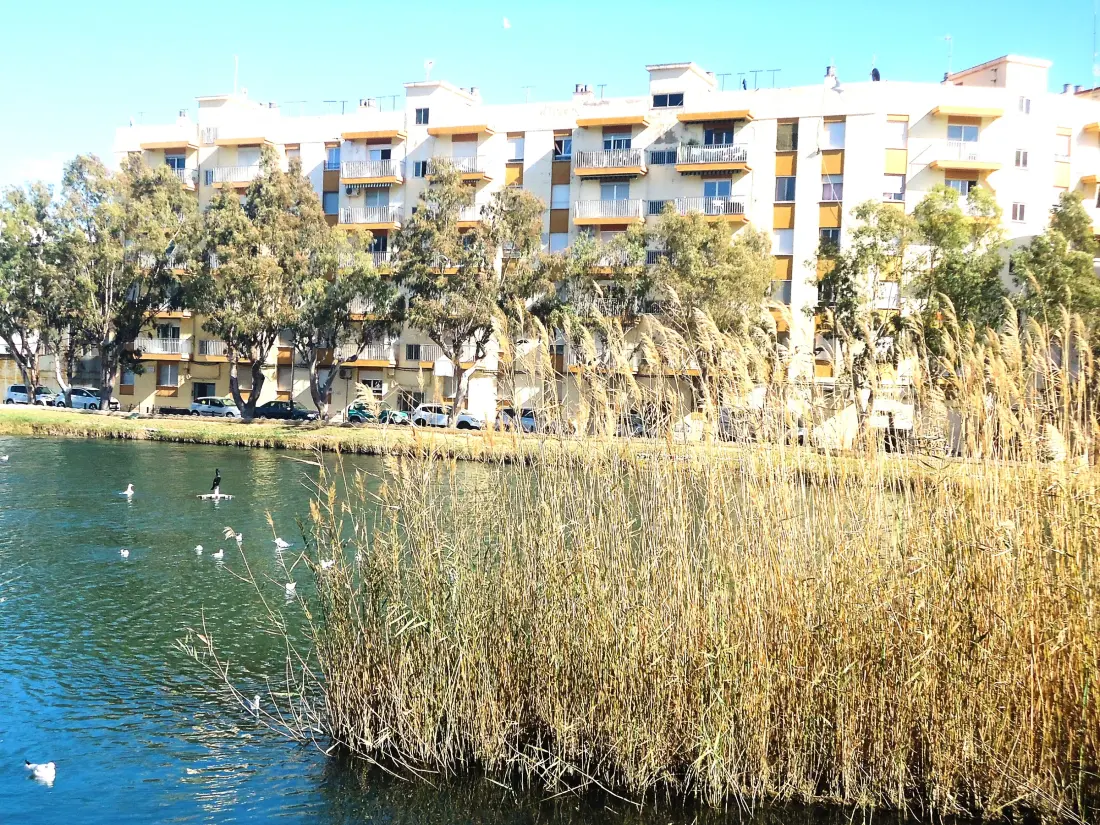 Location de Vacances Peñíscola 354