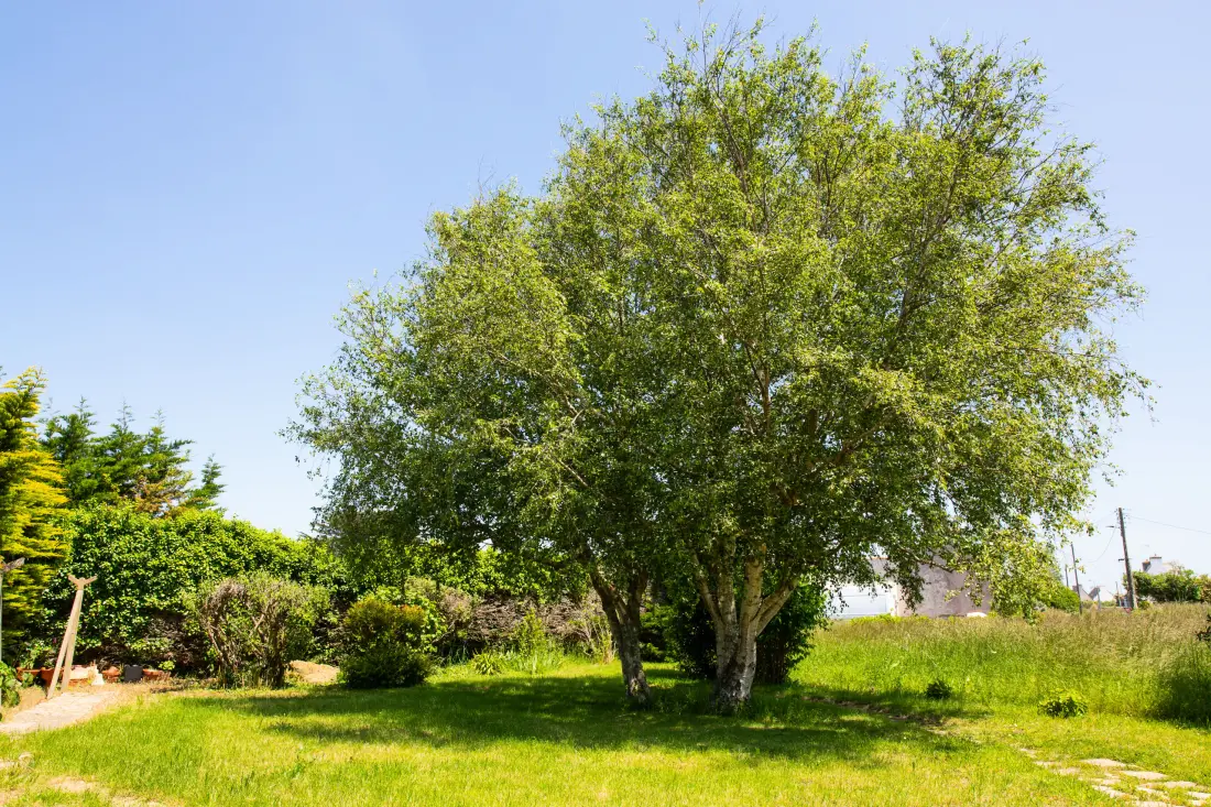Maison à Penmarc'h